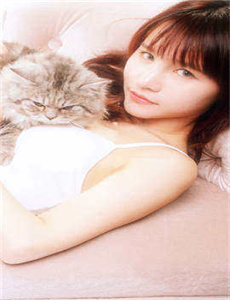 电视剧x女特工